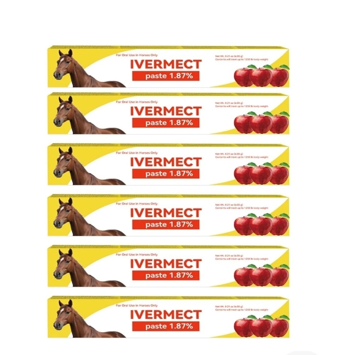 6 Pack Paste Horse Dewormer Apple Flavor wormer FAST SHIPPING