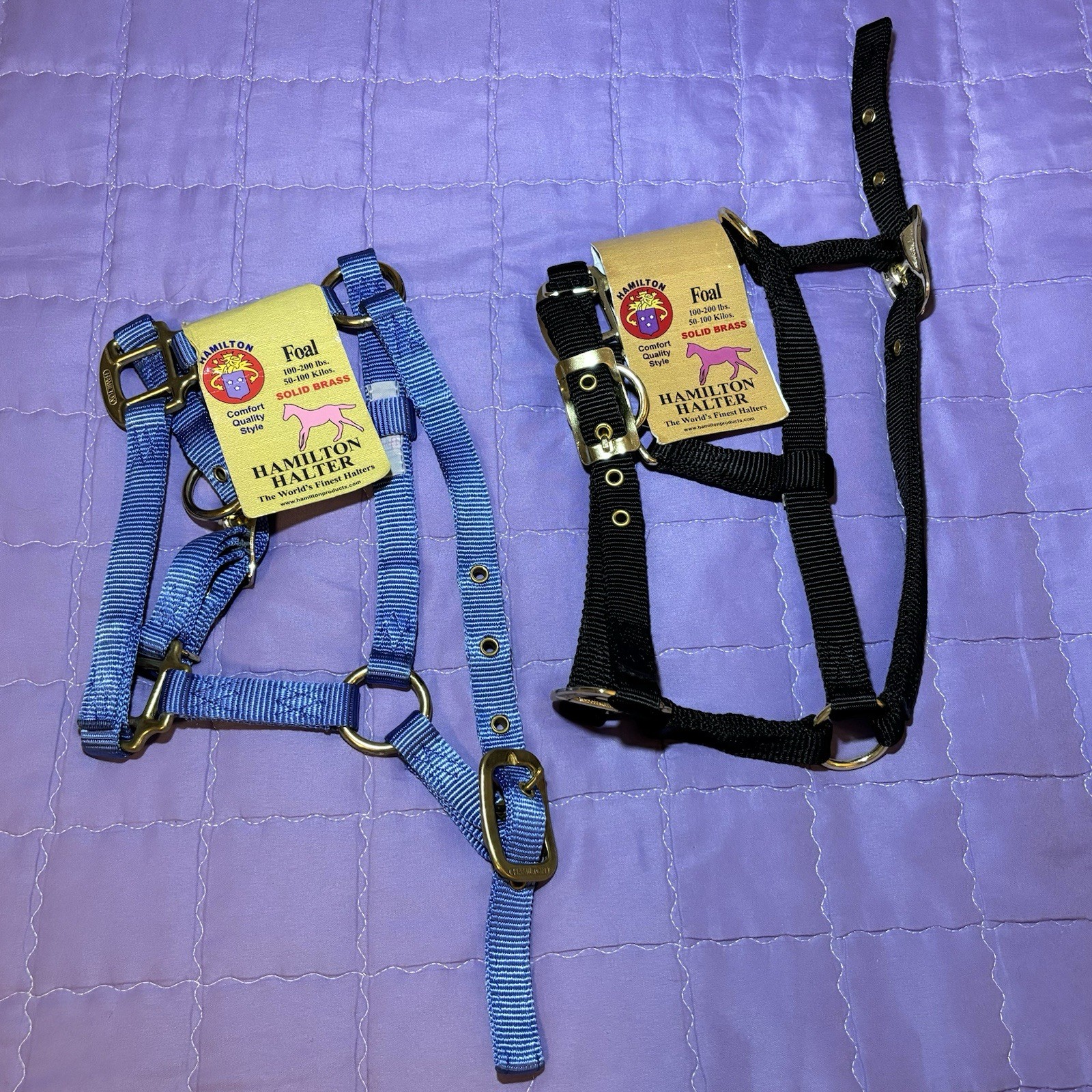 Lot of 2: NWT Hamilton Foal Halter 100-200lbs Nylon & Solid Brass, Blue & Black